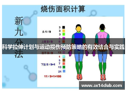 科学拉伸计划与运动损伤预防策略的有效结合与实践